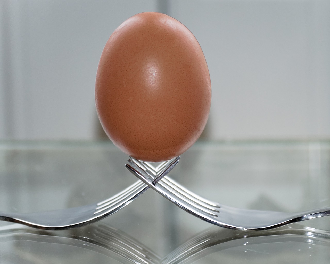 fork, egg, balance