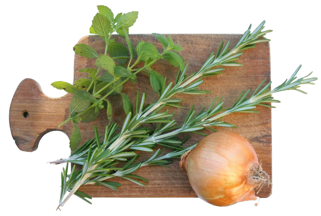 cutting board, spices, rosemary, onion, transparent background, cutting board, rosemary, rosemary, rosemary, rosemary, rosemary