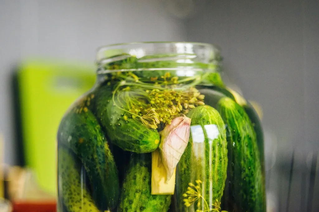 pickled cucumbers, silage, cucumber, cucumber green, cucumbers in a jar, organic cucumbers, cucumbers with horseradish, dill, jar, snack, vegetables, cucumbers, vitamins, closeup, food, fresh, bokeh, healthy, organic, diet, pickled cucumbers, pickled cucumbers, pickled cucumbers, pickled cucumbers, pickled cucumbers, silage, silage, cucumber, dill, dill, dill