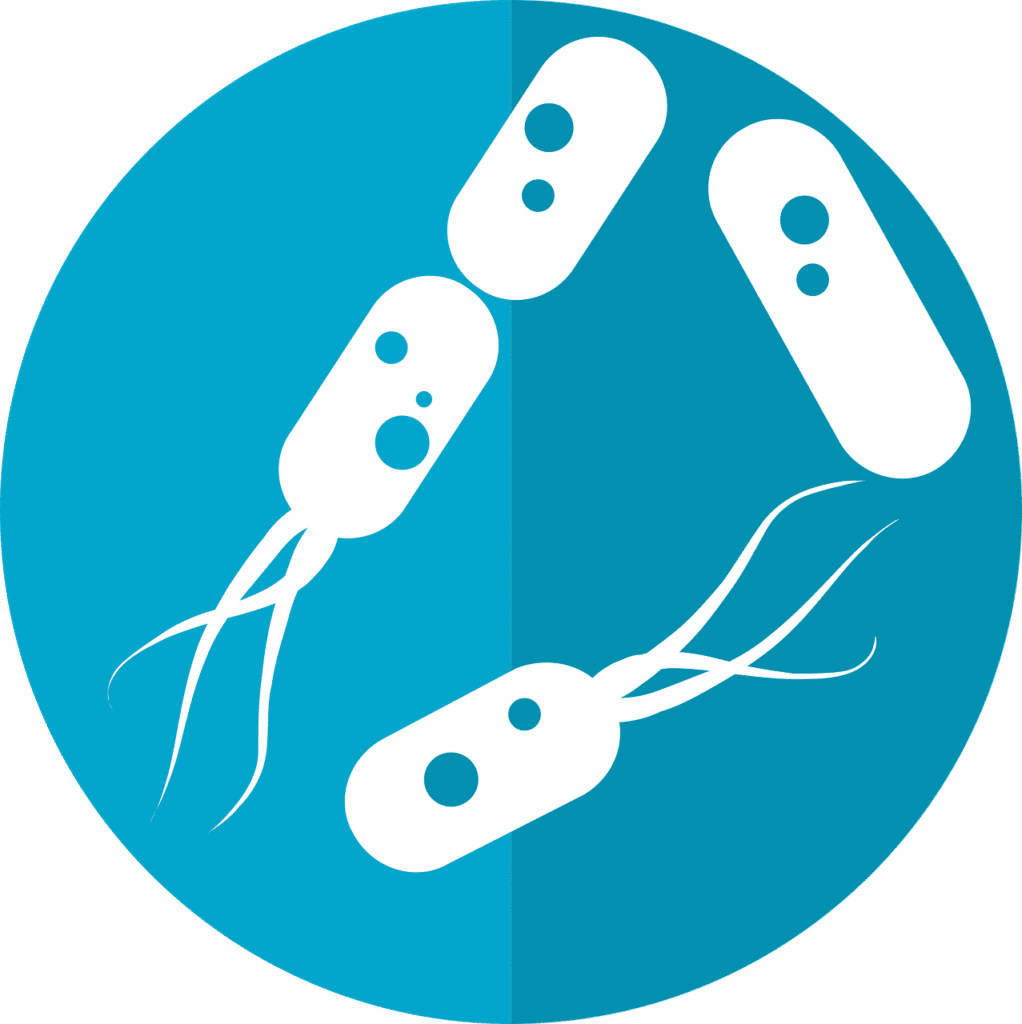 graphic of gut microbiome, diabetes patients
